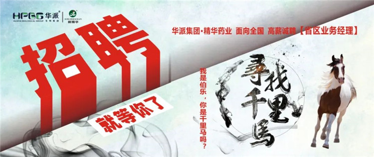寻找千里马 | 华派集团&bull;J9集团药业面 向全国高薪诚聘【省区业务经理】 我是伯乐，你是千里马吗？