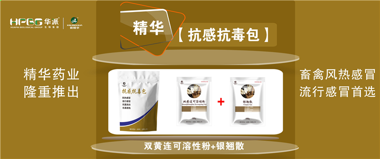 科普：几种常见畜禽感冒与盛行性感冒的防控 |【抗感抗毒包】抗菌消炎、解热排毒、抗毒增免，畜禽风热感冒、盛行感冒首选!
