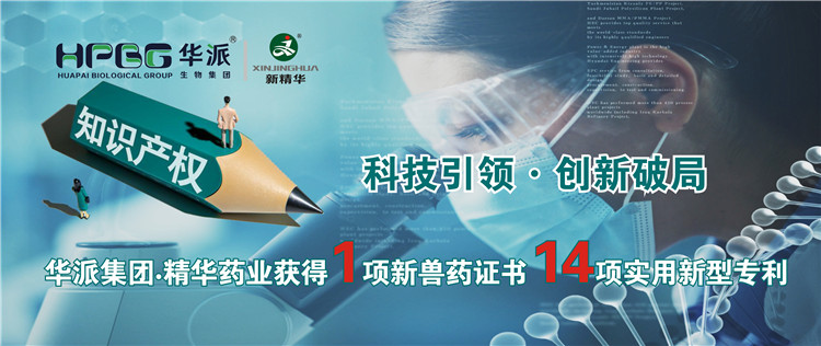 科技引领&bull;创新破局 | 华派集团&bull;J9集团药业获得1项新兽药证书 14项实用新型专利