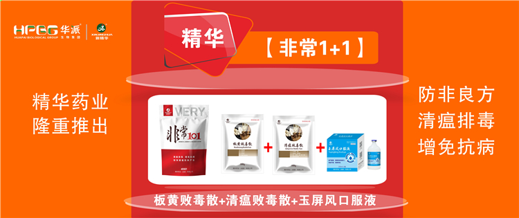 科普：非洲猪瘟防控措施 |【极度1+1】防非良方, 清瘟排毒、增免抗病，加快猪瘟抗体产生!