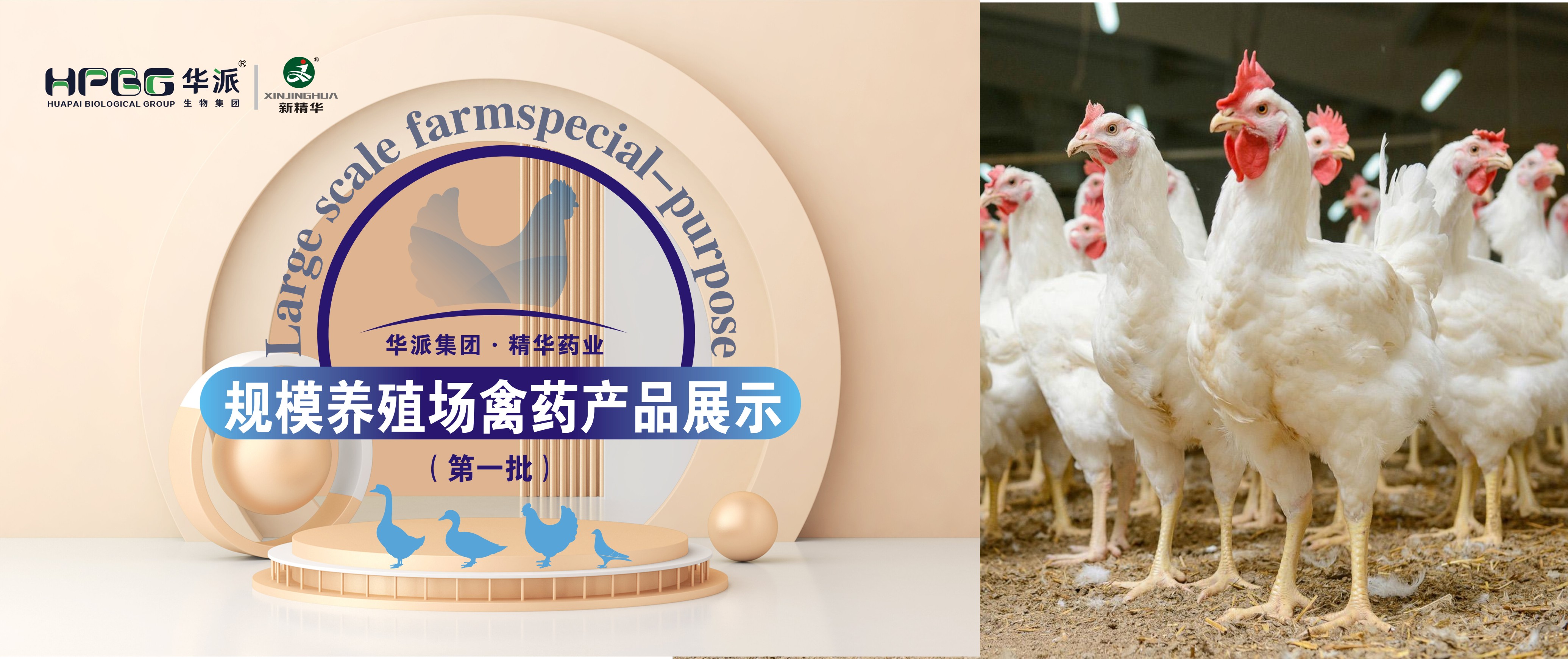 规；吵∽ㄓ | 华派集团&middot;J9集团药业规；吵∏菀┎氛故荆ǖ谝慌